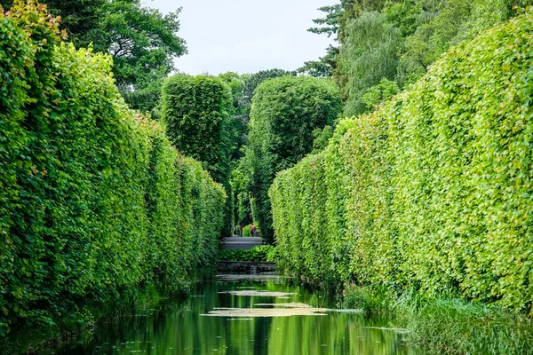 Gdansk, Polonya 'daki güzel Oliwa Parkı. Dikkati dağılmış. Yüksek kalite fotoğraf