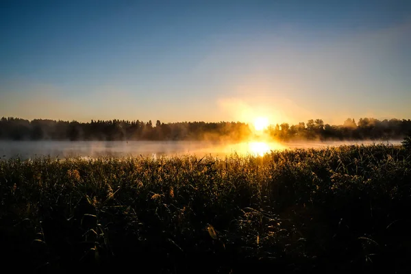 Very Beautiful Sunrise Summer Foggy Lake Early Morning Summer Nature — Stockfoto