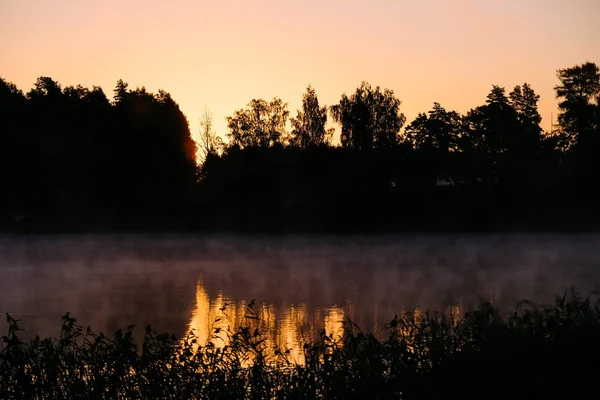Very Beautiful Sunrise Summer Foggy Lake Early Morning Summer Nature — Stock Photo, Image