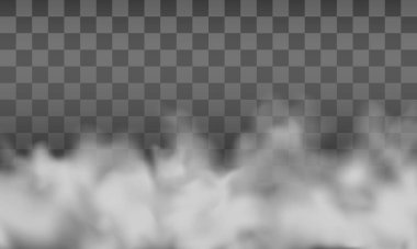 Sis ya da duman grubu şeffaf arkaplanda izole edildi. Vektör illüstrasyonu