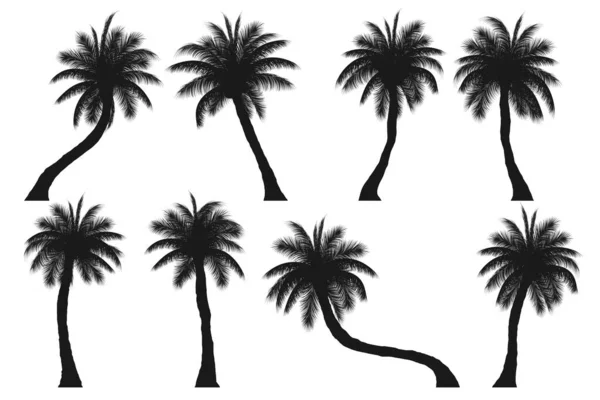 Set Aus Silhouette Palme Kokospalme Isoliert Auf Weißem Hintergrund Vektorillustration — Stockvektor
