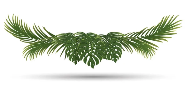 Καρέ Φύλλα Φοίνικα Πράσινο Περίγραμμα Φύλλων Της Φύσης Σχεδιασμός Πρόσκλησης — Διανυσματικό Αρχείο
