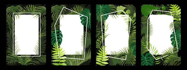 Set Frame Tropical Leaf Jungle Tropical Background Plant Vector — Stockvektor