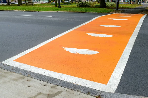 Crosswalk Painted Orange White Feathers Truth Reconciliation Honor Indigenous Children Stock Image