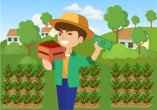 Man Selling Fresh Tomatoes His Farm Make Him Profit His — Image vectorielle