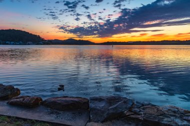 Güneş doğarken yüksek bulutlu su manzarası Orta Sahilde, NSW, Avustralya 'da, Woy Woy' daki Brisbane Suyu 'nu yansıtıyor..