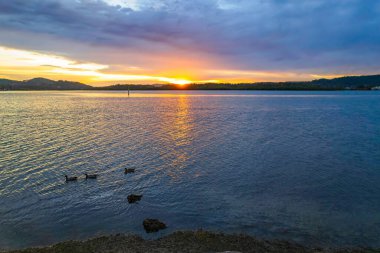 Bulutlar gökyüzünü doldurdu. Gündoğumu su manzarası. Woy Woy 'da Merkez Sahili, NSW, Avustralya..