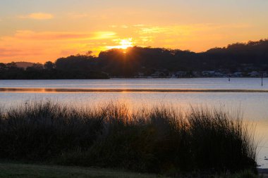 Gün doğumu, Woy Woy rıhtımında hafif bir bulutla birlikte, NSW, Avustralya.