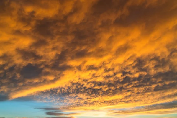 Soluppgång Med Molnfylld Himmel Över Woy Woy Central Coast Nsw — Stockfoto