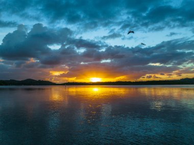 Gökyüzünde kuşların ve bulutların yükseldiği hava gündoğumu Woy Woy körfezinin üzerinde, Orta Sahilde, NSW, Avustralya.