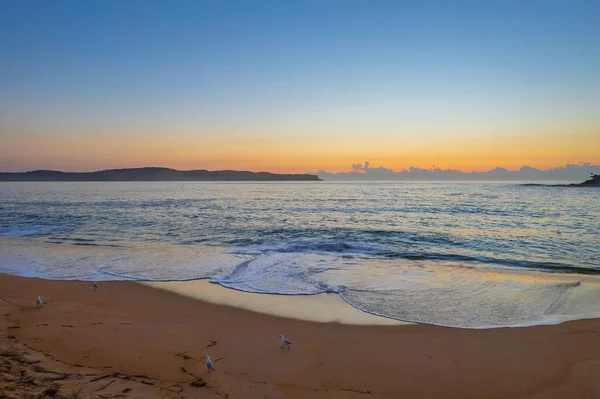 Nascer Sol Beira Mar Pearl Beach Costa Central Nsw Austrália — Fotografia de Stock