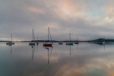 Brisbane üzerinde sisli gün doğumu. Couche Park, Koolewong Merkez Sahili, NSW, Avustralya..