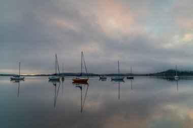 Brisbane üzerinde sisli gün doğumu. Couche Park, Koolewong Merkez Sahili, NSW, Avustralya..