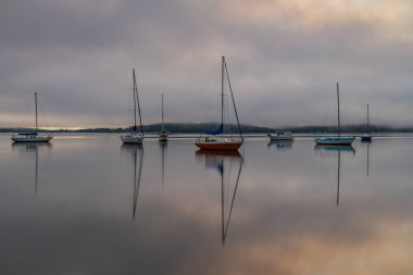 Brisbane üzerinde sisli gün doğumu. Couche Park, Koolewong Merkez Sahili, NSW, Avustralya..