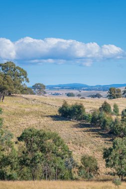 Blayney, NSW, Avustralya 'daki kırsal alanlar.