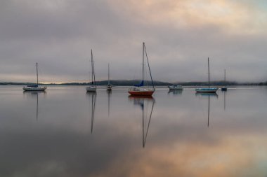 Brisbane üzerinde sisli gün doğumu. Couche Park, Koolewong Merkez Sahili, NSW, Avustralya..
