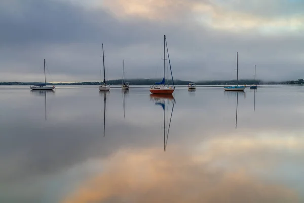 Foggy Napkelte Felett Brisbane Víz Couche Park Koolewong Központi Parton — Stock Fotó