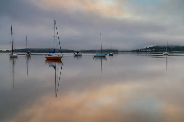 Foggy Napkelte Felett Brisbane Víz Couche Park Koolewong Központi Parton — Stock Fotó