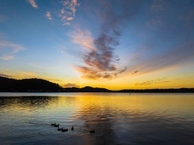 Ördekler, yüksek bulut ve yumuşak pastel renkler ile Orta Sahildeki Woy Woy 'da, NSW, Avustralya' da hava gündoğumu su manzarası..