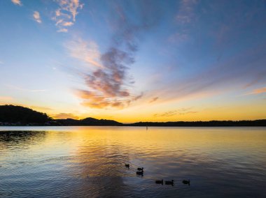 Ördekler, yüksek bulut ve yumuşak pastel renkler ile Orta Sahildeki Woy Woy 'da, NSW, Avustralya' da hava gündoğumu su manzarası..