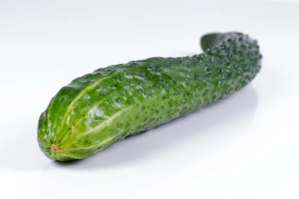salatalık