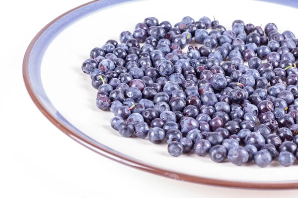 Bluberries