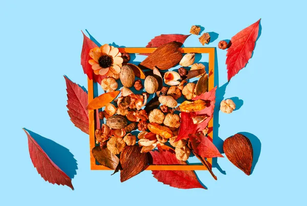 Podzimní Červené Listy Rostliny Potpourri Oranžovém Dřevěném Rámu Pastelově Modré — Stock fotografie