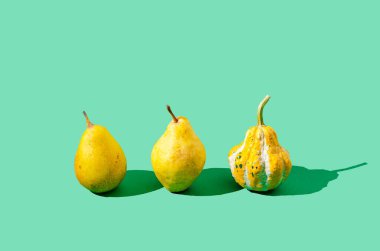 İki taze organik sarı armut ve pastel yeşil arka planda bir sarı balkabağı. Yaratıcı Cadılar Bayramı ve Şükran Günü konsepti. En az besin ya da sonbahar hasat bileşimi.