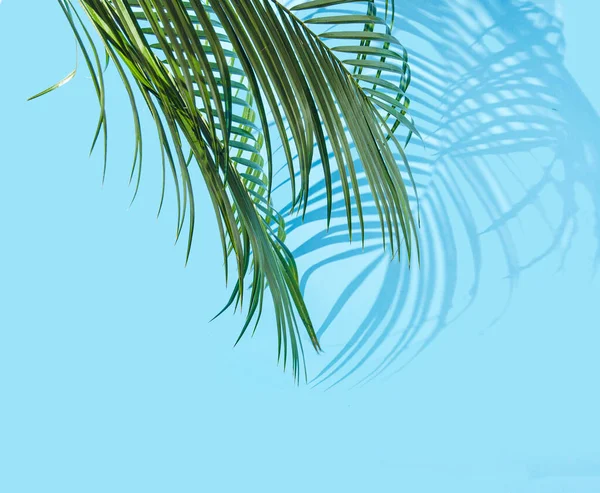 Palm Leaves Shadows Blue Background Creative Concept Spring Break Holidays — Stockfoto