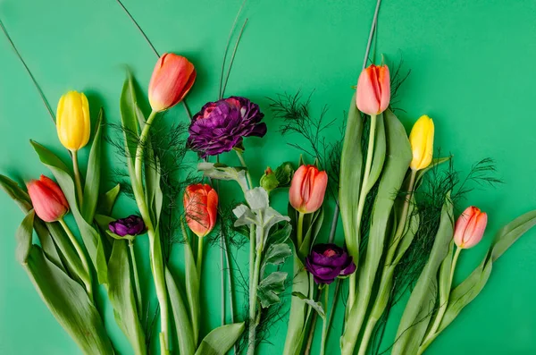 Tulips Other Flowers Fresh Leaves Row Green Background Creative Floral — Stock Photo, Image