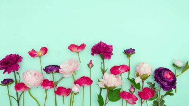 Pastel yeşil arka planda çeşitli pembe ve fuşya çiçekleri. Yaratıcı Paskalya veya bahar bayramı kutlaması konsepti. Metin, pankart veya kart için boş kopya alanı ile bahar çiçekleri düzenleme.