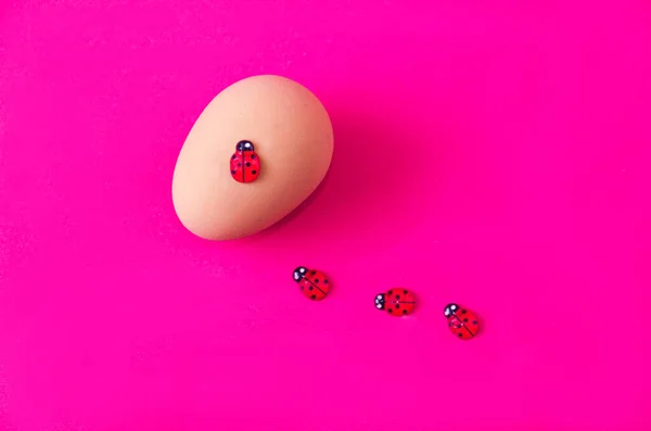 Dámské Brouky Šplhají Velikonoční Vajíčko Růžovém Pozadí Minimální Symbolický Kreativní — Stock fotografie