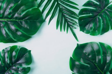 Beyaz arka planda palmiye yapraklarından oluşan çok az egzotik bir arka plan. Tatil kartı ya da reklam için duvar kağıdı ya da arkaplan