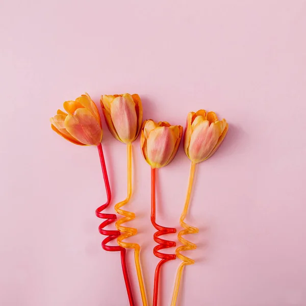 Four Orange Tulips Red Orange Straws Pink Background Minimal Surreal — Stock Photo, Image