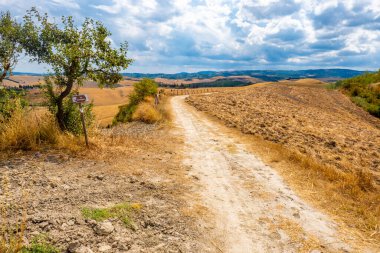 Francigena, Toskana, üzüm bağları ve zeytin ağaçları boyunca manzara