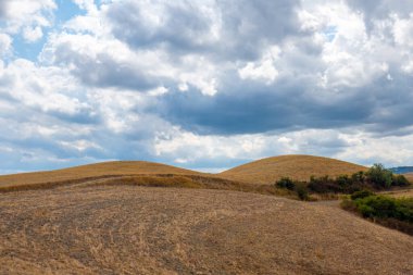 Francigena, Toskana, üzüm bağları ve zeytin ağaçları boyunca manzara
