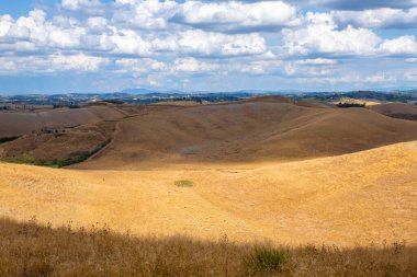 Francigena, Toskana, üzüm bağları ve zeytin ağaçları boyunca manzara
