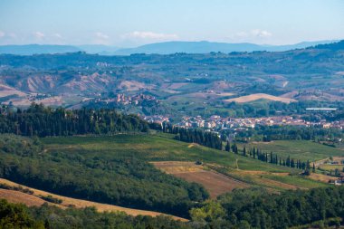 Francigena, Toskana, üzüm bağları ve zeytin ağaçları boyunca manzara