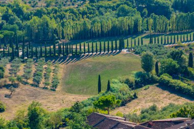 Küçük ortaçağ kasabası San Gimignano, Toskana 'nın ana kulesinin tepesinden manzara.