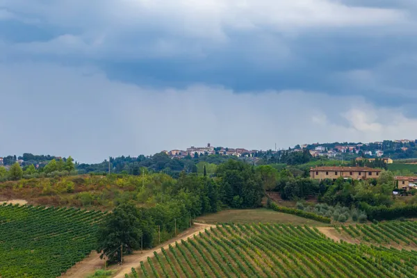 Francigena, Toskana, üzüm bağları ve zeytin ağaçları boyunca manzara