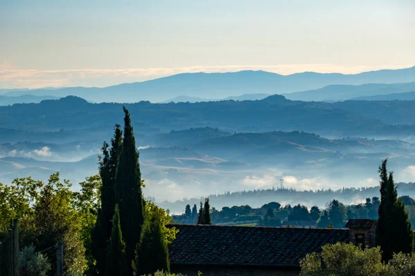 Landschaft Entlang Der Francigena Toskana Mit Weinbergen Und Olivenbäumen Stockbild
