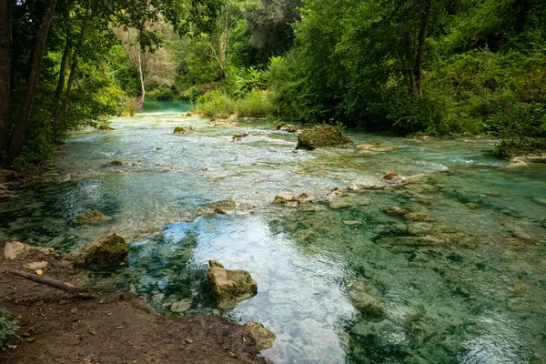 Parco Fluviale Dell Elsa River Natural Parc Elsa Colle Val — ストック写真