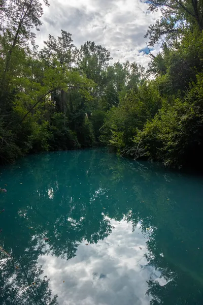 Parco Fluviale Dell Elsa River Natural Parc Elsa Colle Val — ストック写真