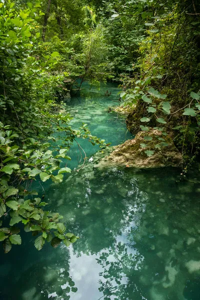 Parco Fluviale Dell Elsa River Natural Parc Elsa Colle Val — ストック写真