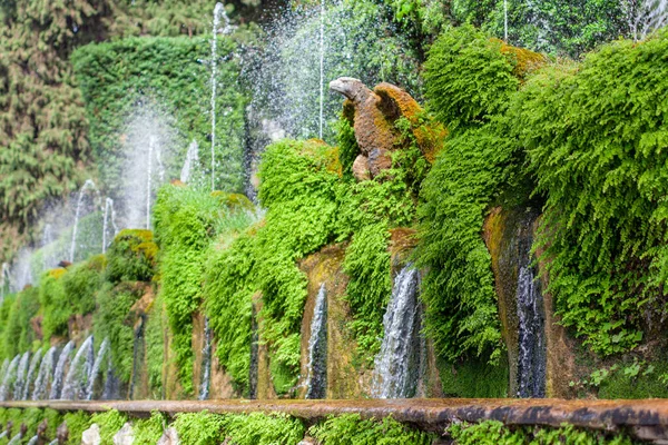 Magnifiche Fontane Nel Grande Parco Villa Este Tivoli Lazio — Foto Stock