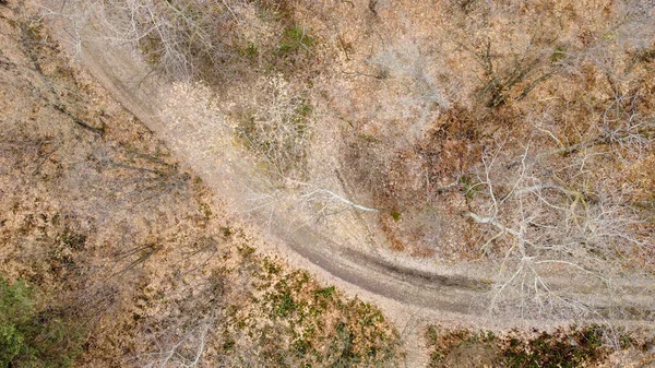 Flygande Zenit Utsikt Över Skog Med Dammig Väg Vintersäsongen — Stockfoto