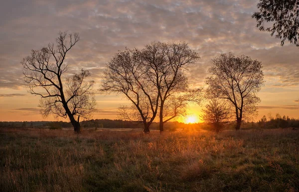 Günbatımı kırsal kesimde