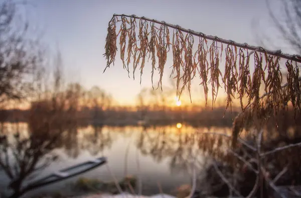 Amanecer Sobre Río —  Fotos de Stock