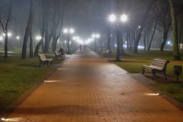 Gece vakti soğuk park