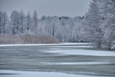 Nehirde gümüş kış sabahı